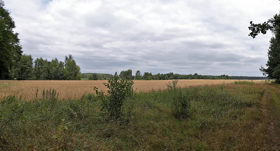 Blick nach Norden Richtung Lug