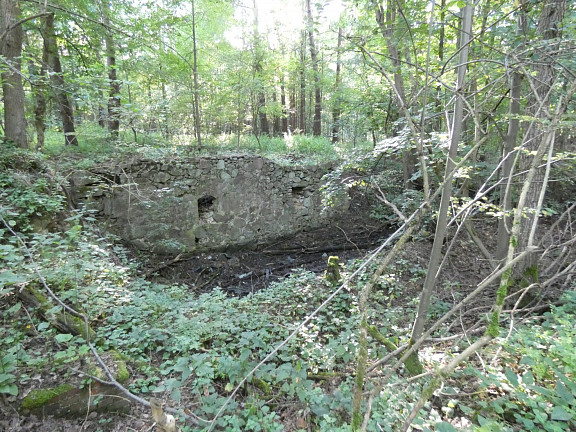 Reste der Rodstocker Mühle