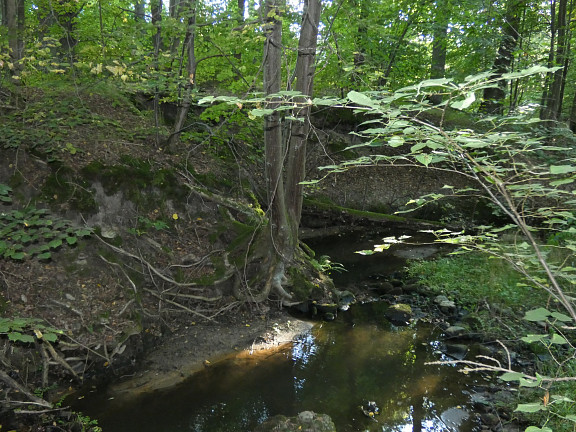 Wasserzulauf zur Rodstocker Mühle