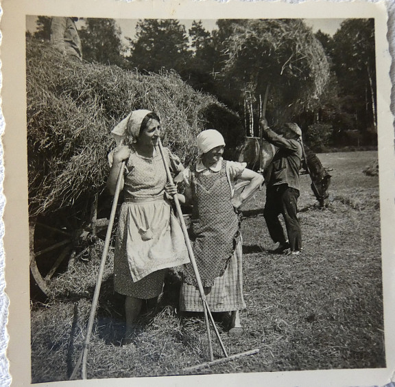 Heuernte am Tiefteich vor 1945