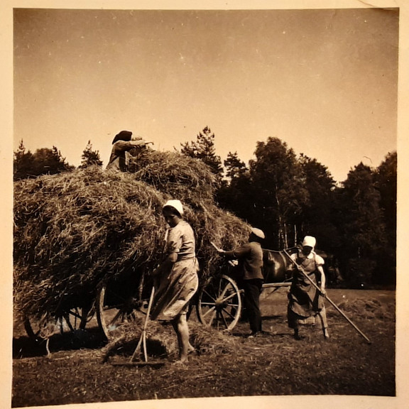 Heuernte auf einer Wiese am Tiefteich vor 1945