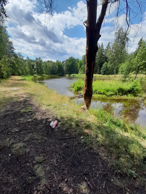 der größere Teich mit der Johanna-Insel, Juni 2025
