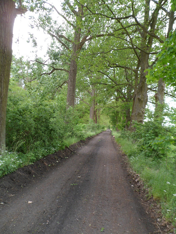 Aufnahme aus  Mai 2022