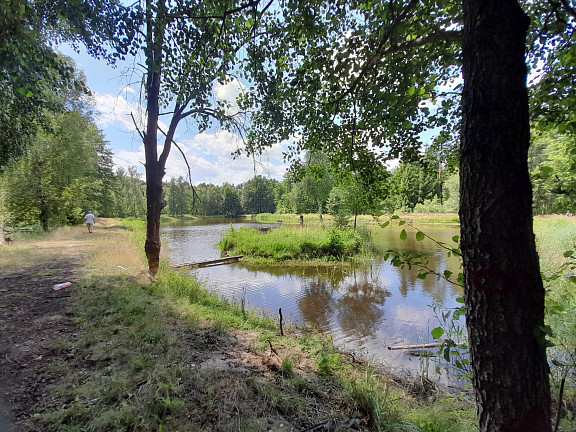 Tiefteich mit Johanna-Insel