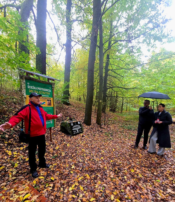 die Lichtung der Roma - hier hier sich in den Jahren von 1946 bis 1964 im Frühjahr und Herbst reisende Roma auf